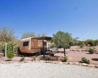 Wederverkoop - Villa - Pinoso - 