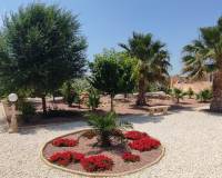 Wederverkoop - Villa - Pinoso - 