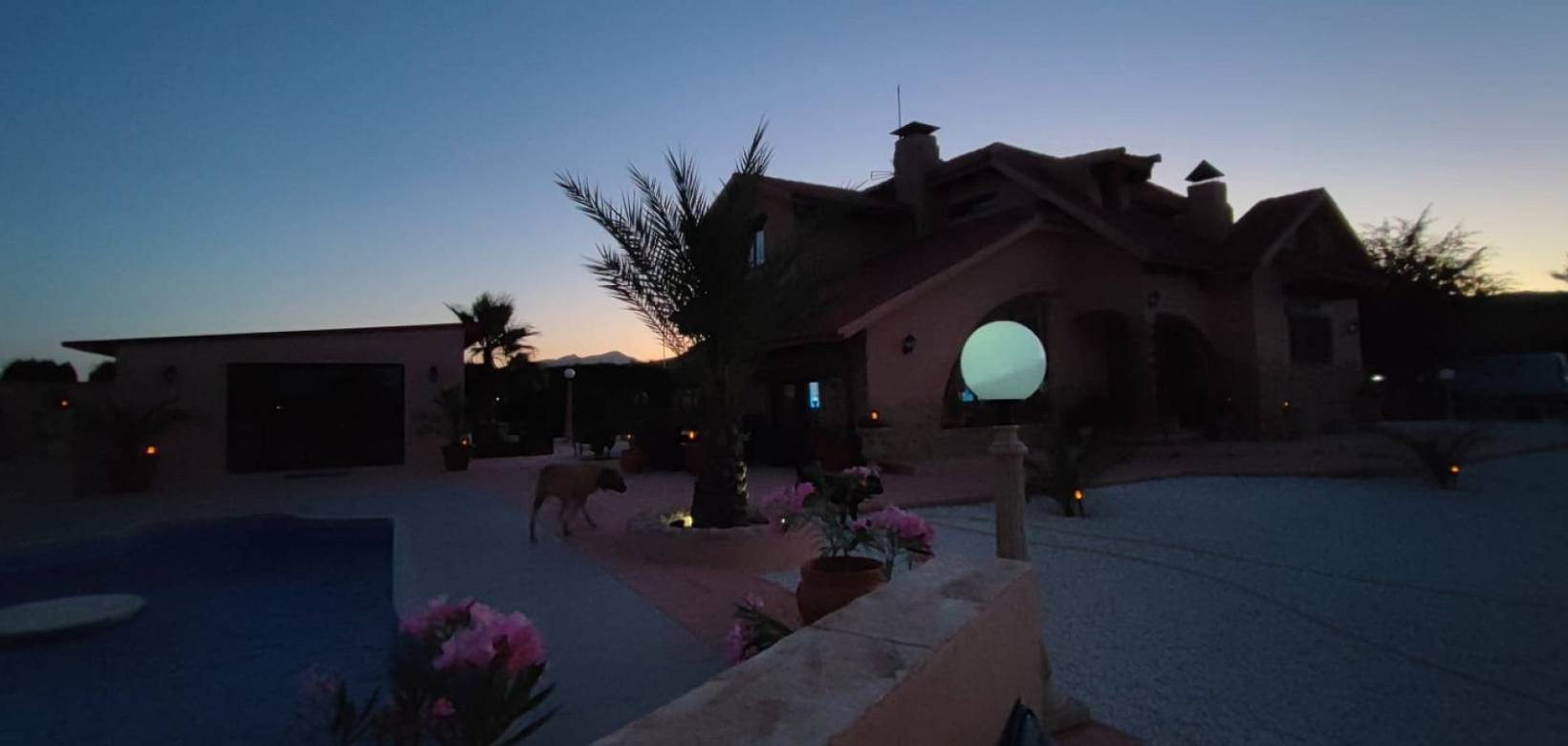 Wederverkoop - Villa - Pinoso - 