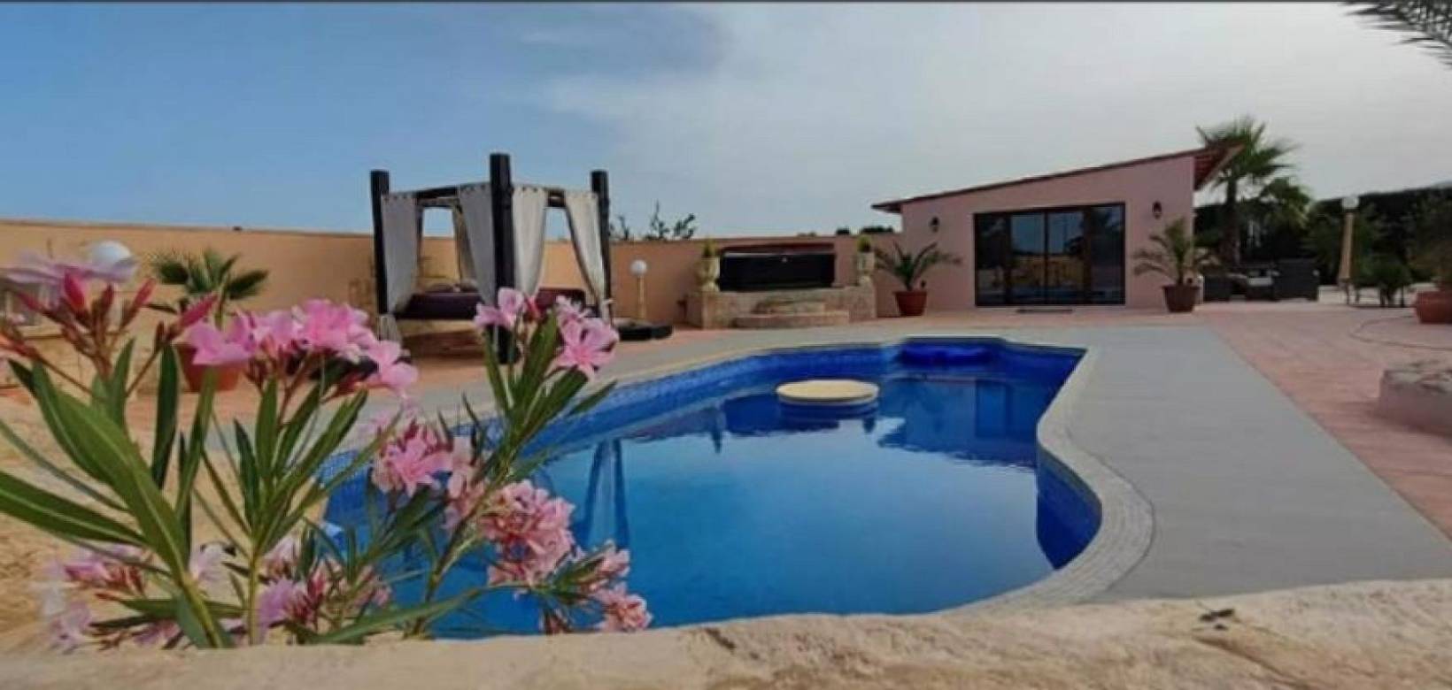 Wederverkoop - Villa - Pinoso - 