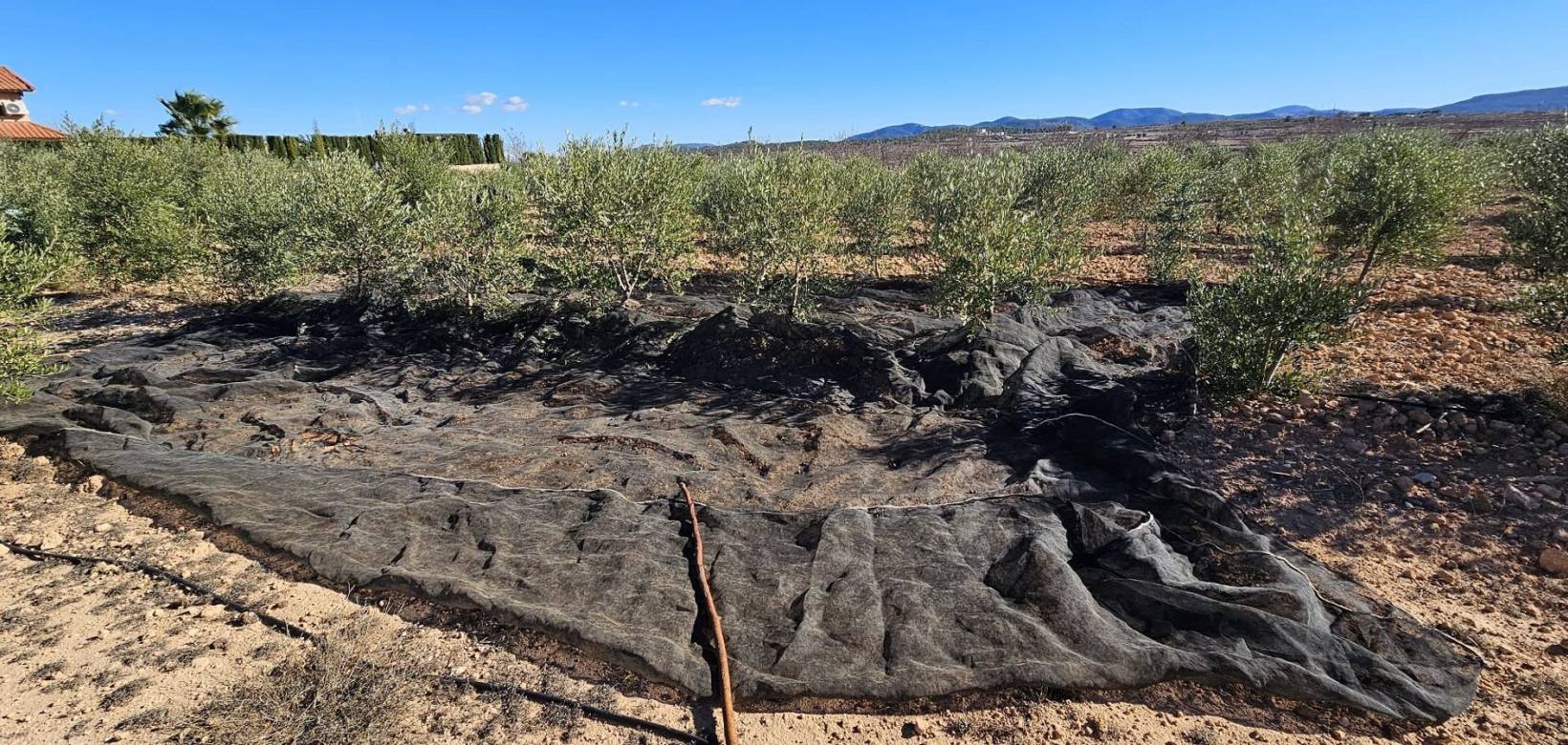 Wederverkoop - Villa - Pinoso - 