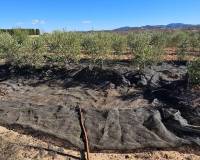 Wederverkoop - Villa - Pinoso - 