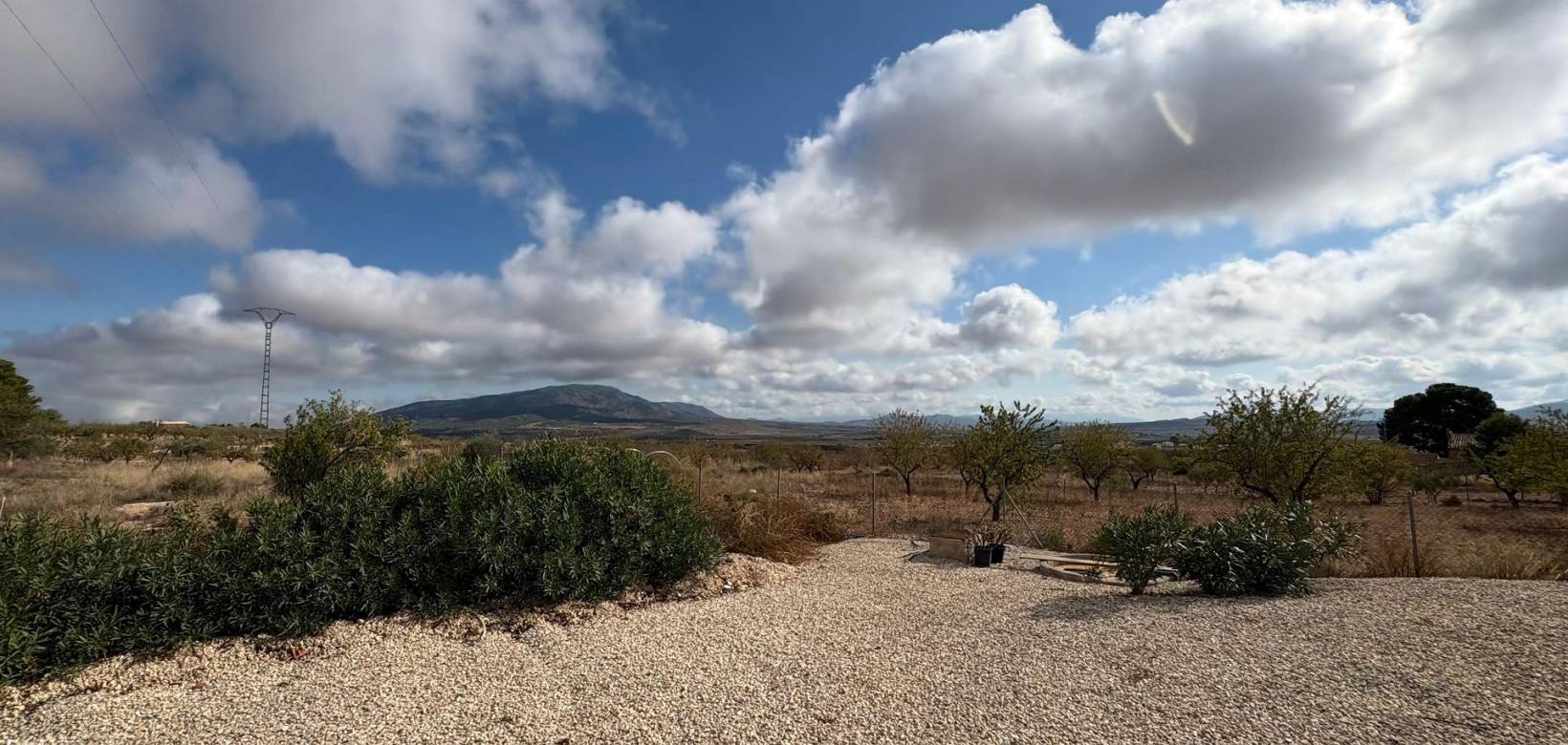 Wederverkoop - Villa - Pinoso - 