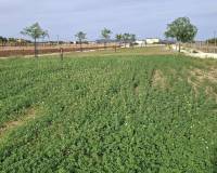 Wederverkoop - Villa - Pinoso - 
