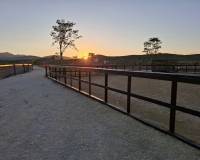 Wederverkoop - Villa - Pinoso - 
