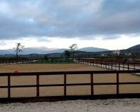 Wederverkoop - Villa - Pinoso - 