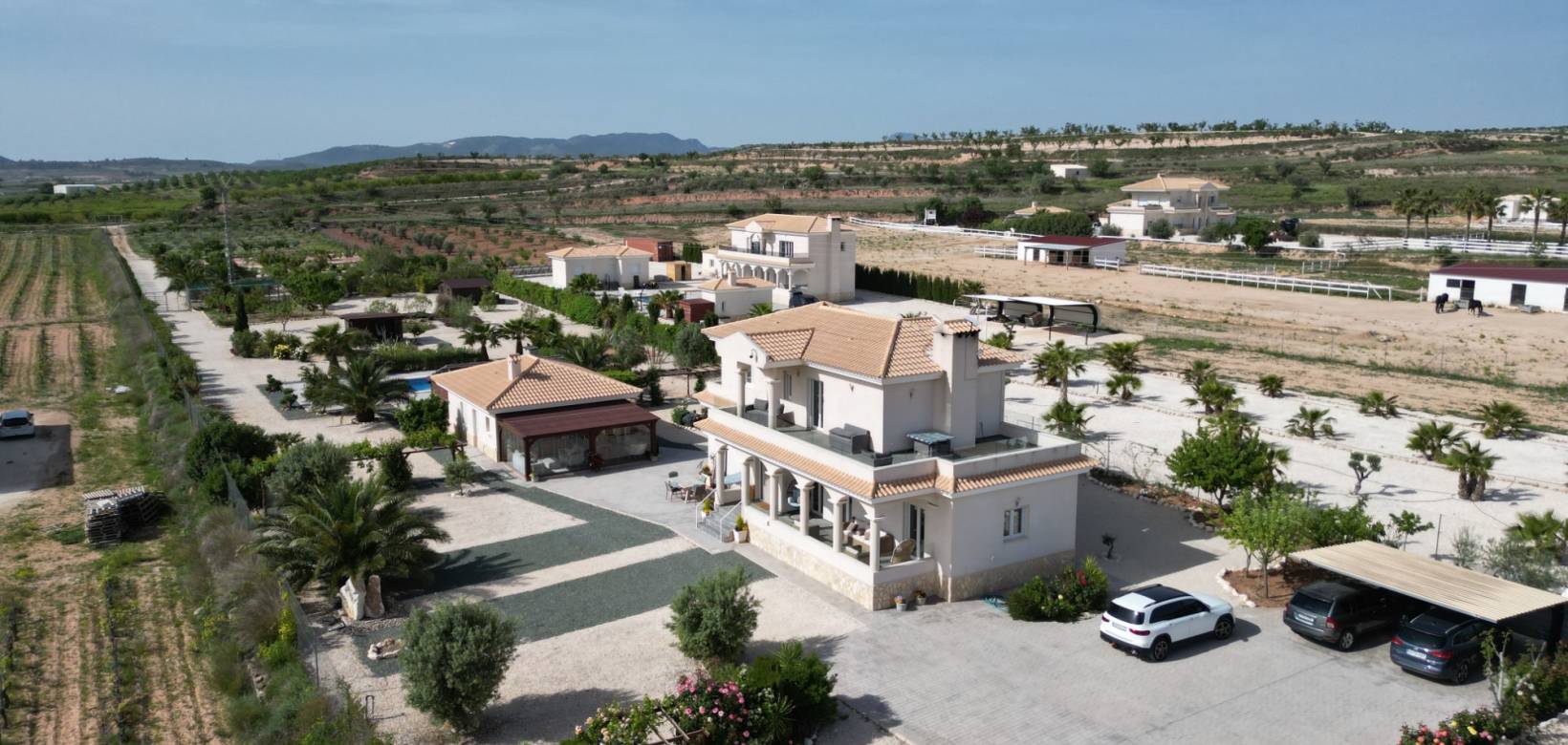 Wederverkoop - Villa - Pinoso - 