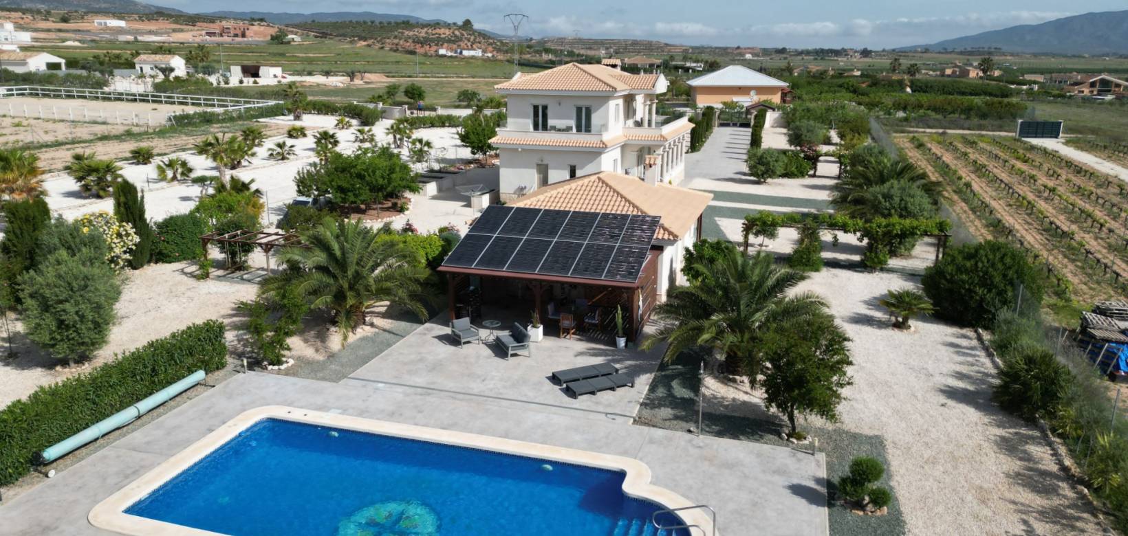 Wederverkoop - Villa - Pinoso - 