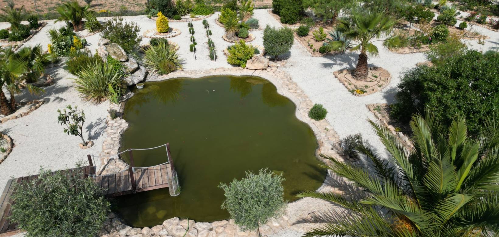 Wederverkoop - Villa - Pinoso - 