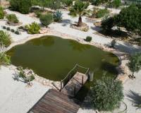 Wederverkoop - Villa - Pinoso - 