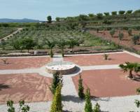 Wederverkoop - Villa - Pinoso - 