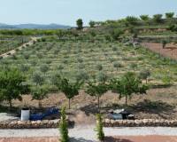 Wederverkoop - Villa - Pinoso - 