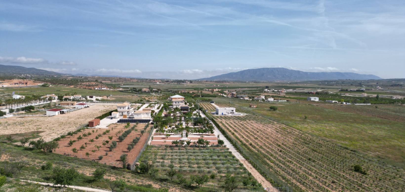 Wederverkoop - Villa - Pinoso - 