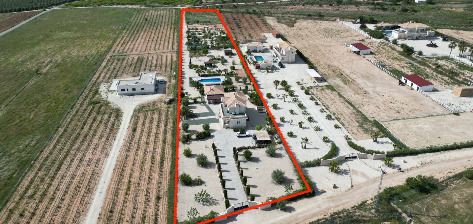 Wederverkoop - Villa - Pinoso - 