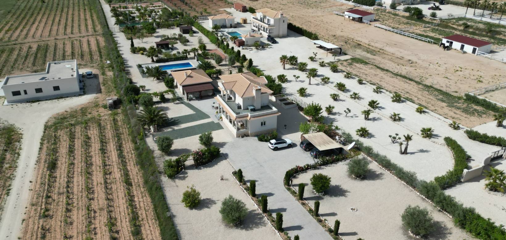 Wederverkoop - Villa - Pinoso - 