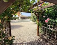 Wederverkoop - Villa - Pinoso - 
