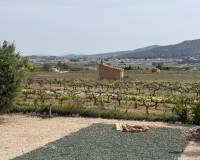 Wederverkoop - Villa - Pinoso - 