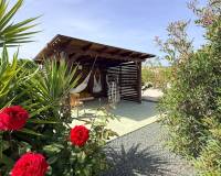 Wederverkoop - Villa - Pinoso - 
