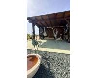 Wederverkoop - Villa - Pinoso - 
