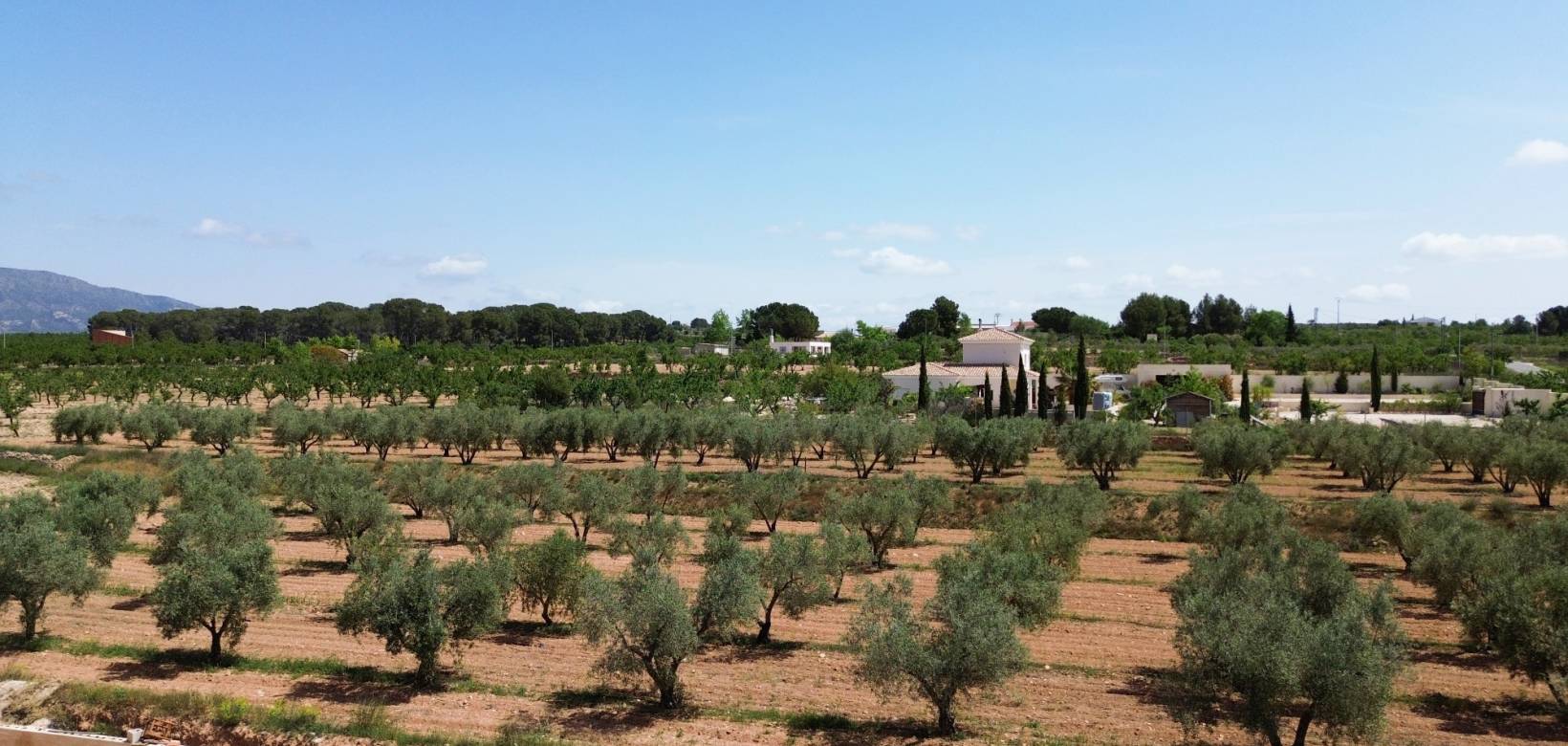Wederverkoop - Villa - Pinoso - 
