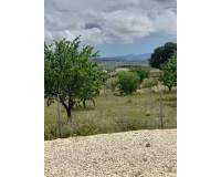 Wederverkoop - Villa - Pinoso - 