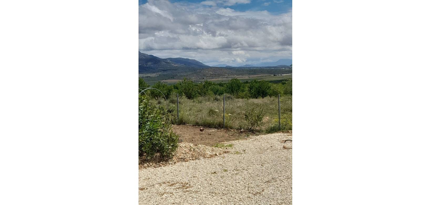 Wederverkoop - Villa - Pinoso - 