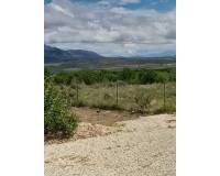 Wederverkoop - Villa - Pinoso - 