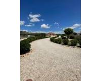 Wederverkoop - Villa - Pinoso - 