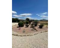 Wederverkoop - Villa - Pinoso - 