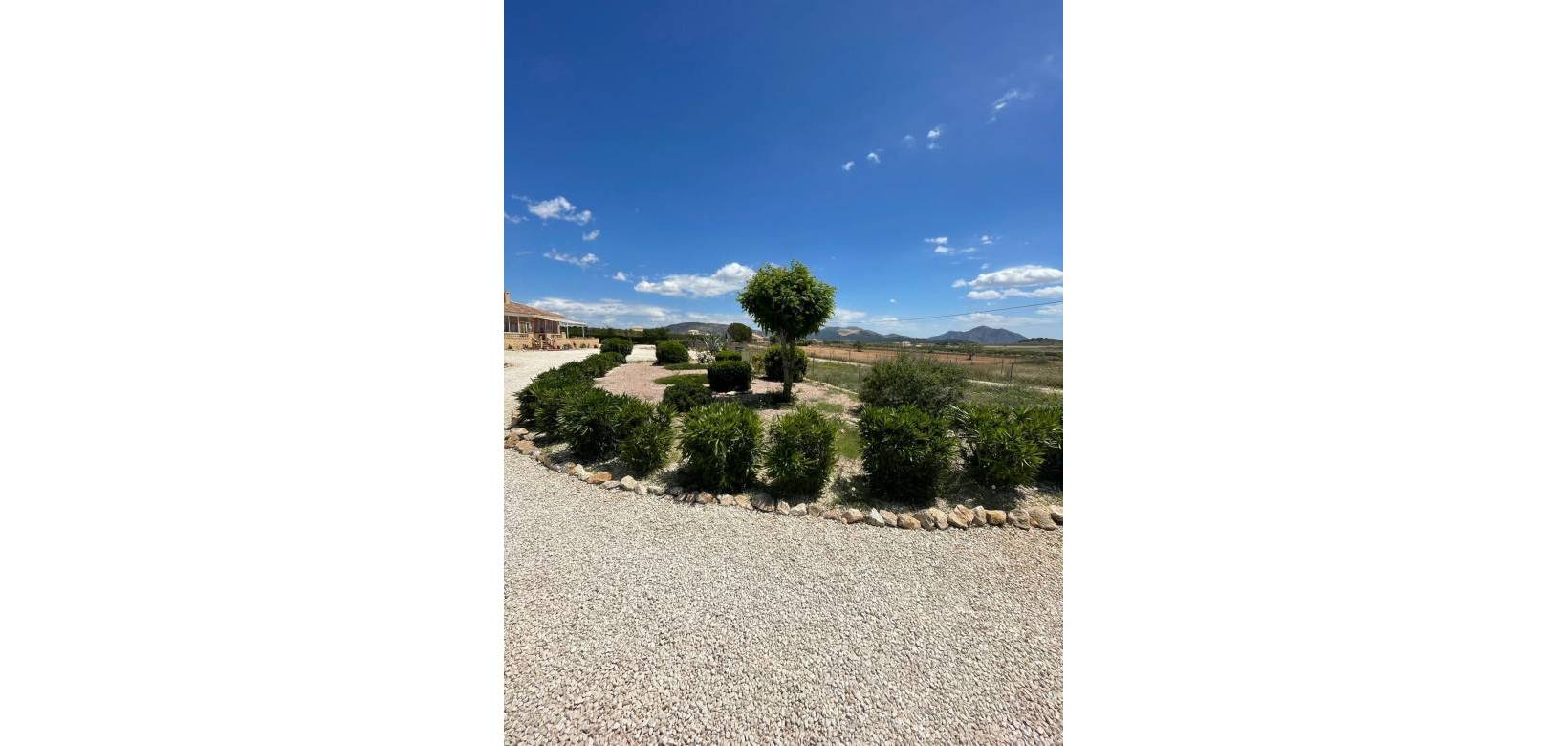 Wederverkoop - Villa - Pinoso - 