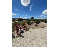 Wederverkoop - Villa - Pinoso - 
