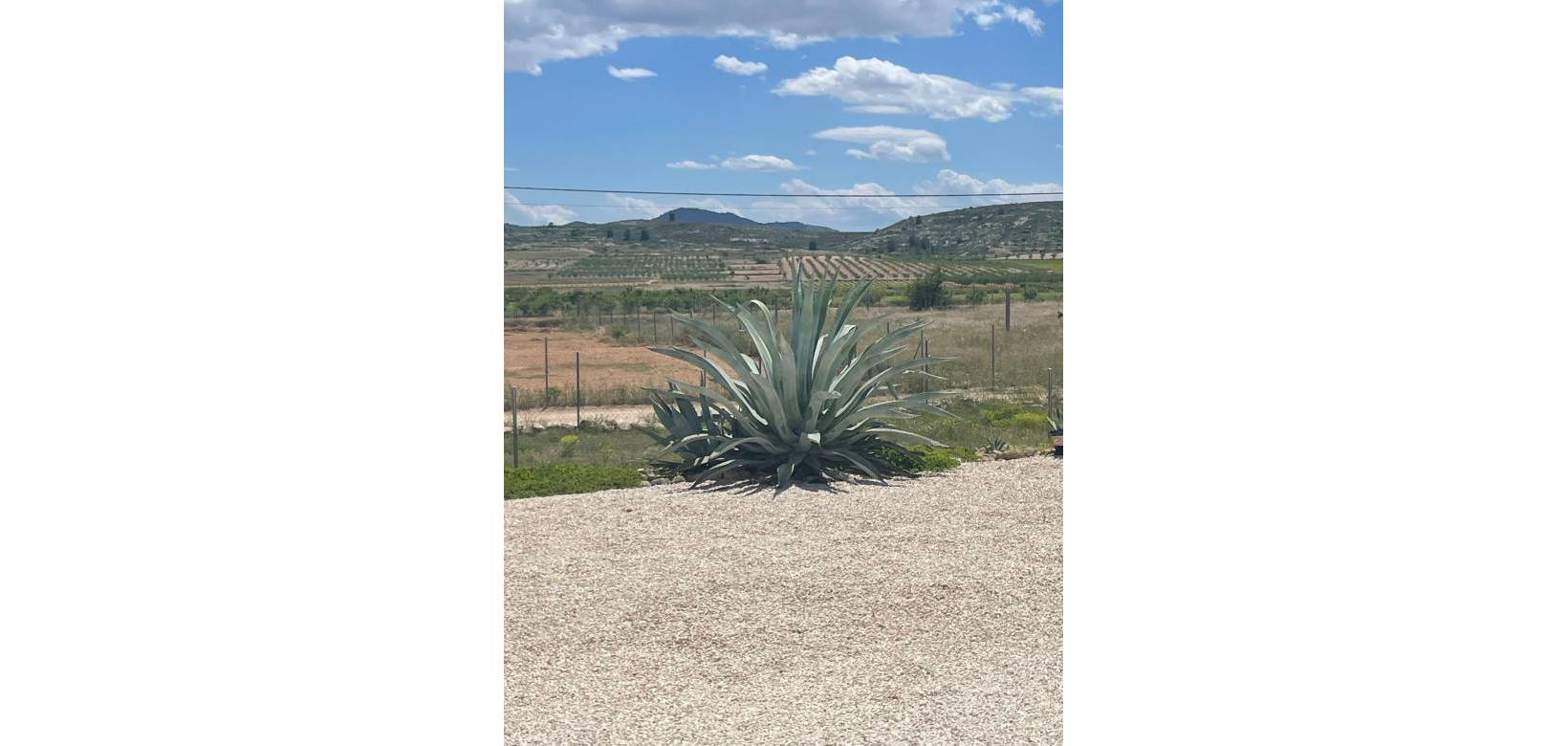 Wederverkoop - Villa - Pinoso - 