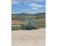 Wederverkoop - Villa - Pinoso - 