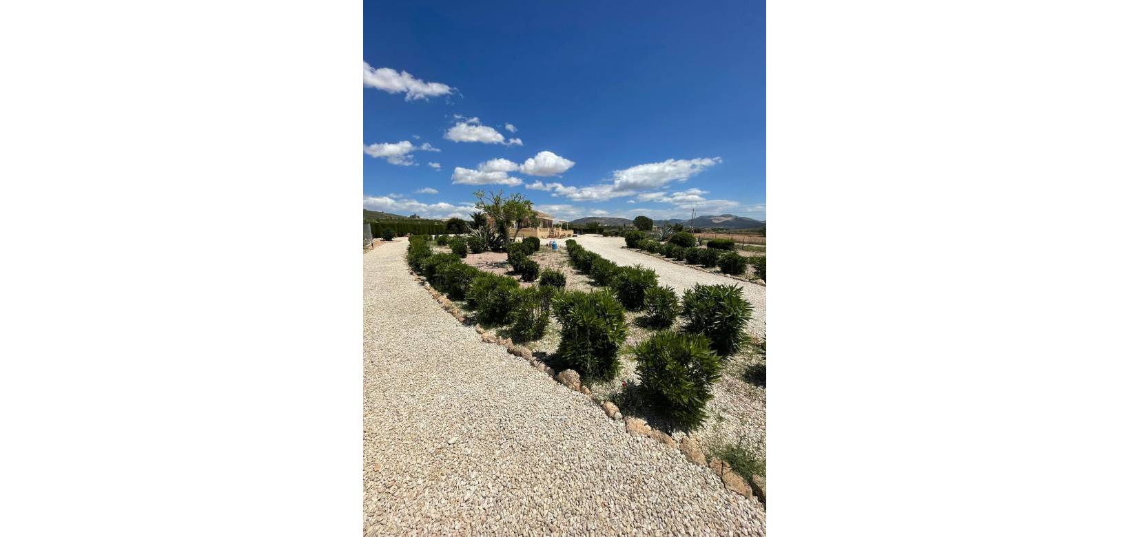 Wederverkoop - Villa - Pinoso - 