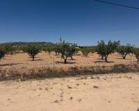 Wederverkoop - Villa - Pinoso - 