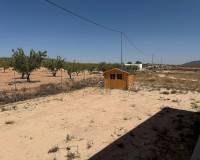Wederverkoop - Villa - Pinoso - 