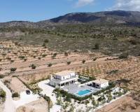 Wederverkoop - Villa - Pinoso - 
