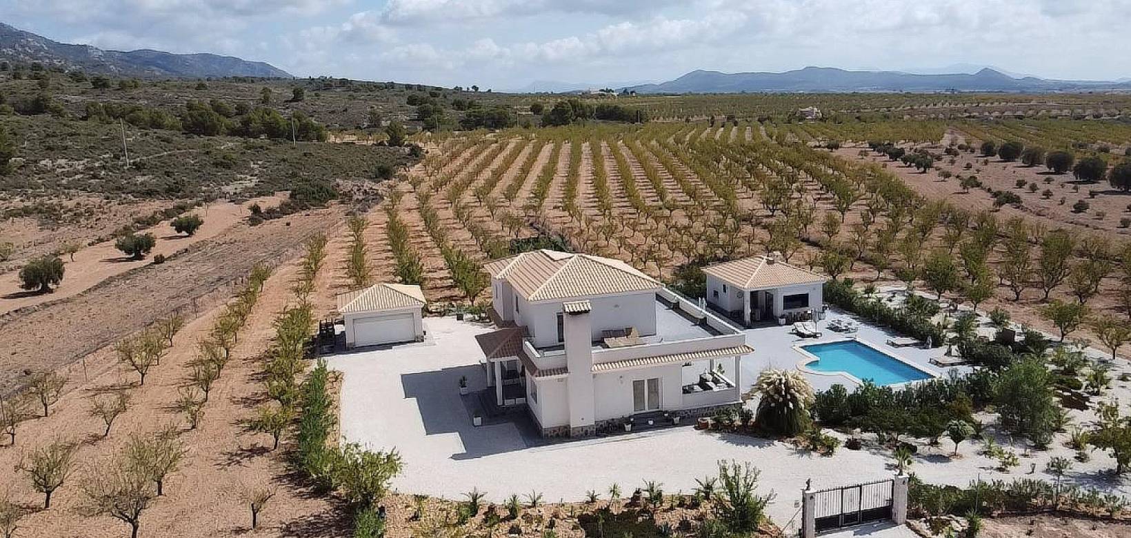 Wederverkoop - Villa - Pinoso - 