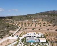 Wederverkoop - Villa - Pinoso - 