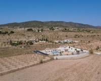 Wederverkoop - Villa - Pinoso - 