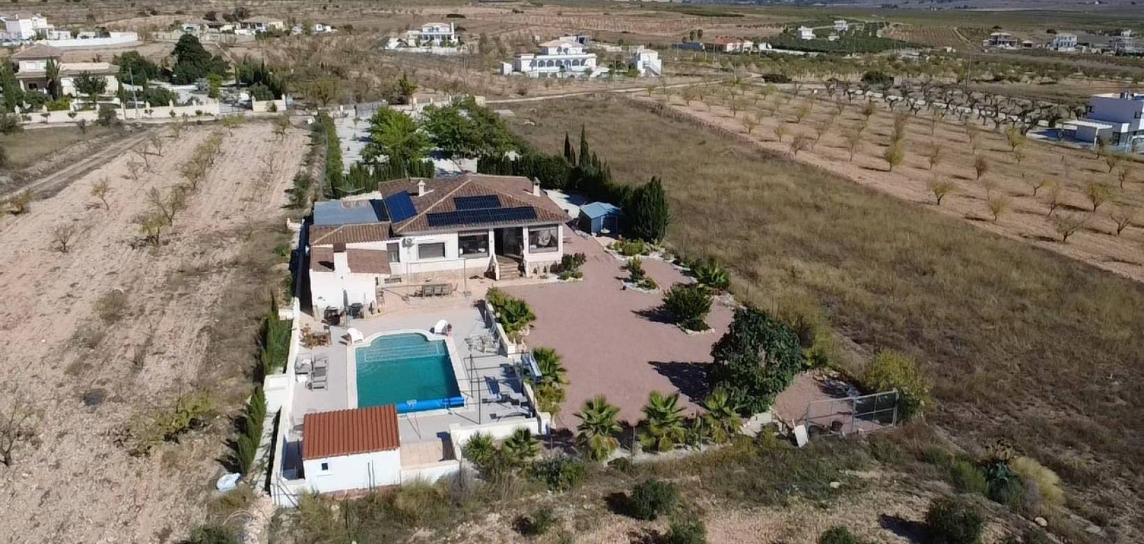Wederverkoop - Villa - Pinoso - 