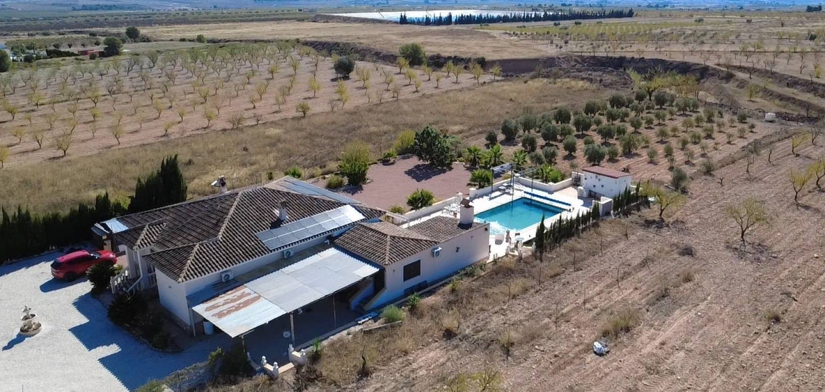 Wederverkoop - Villa - Pinoso - 