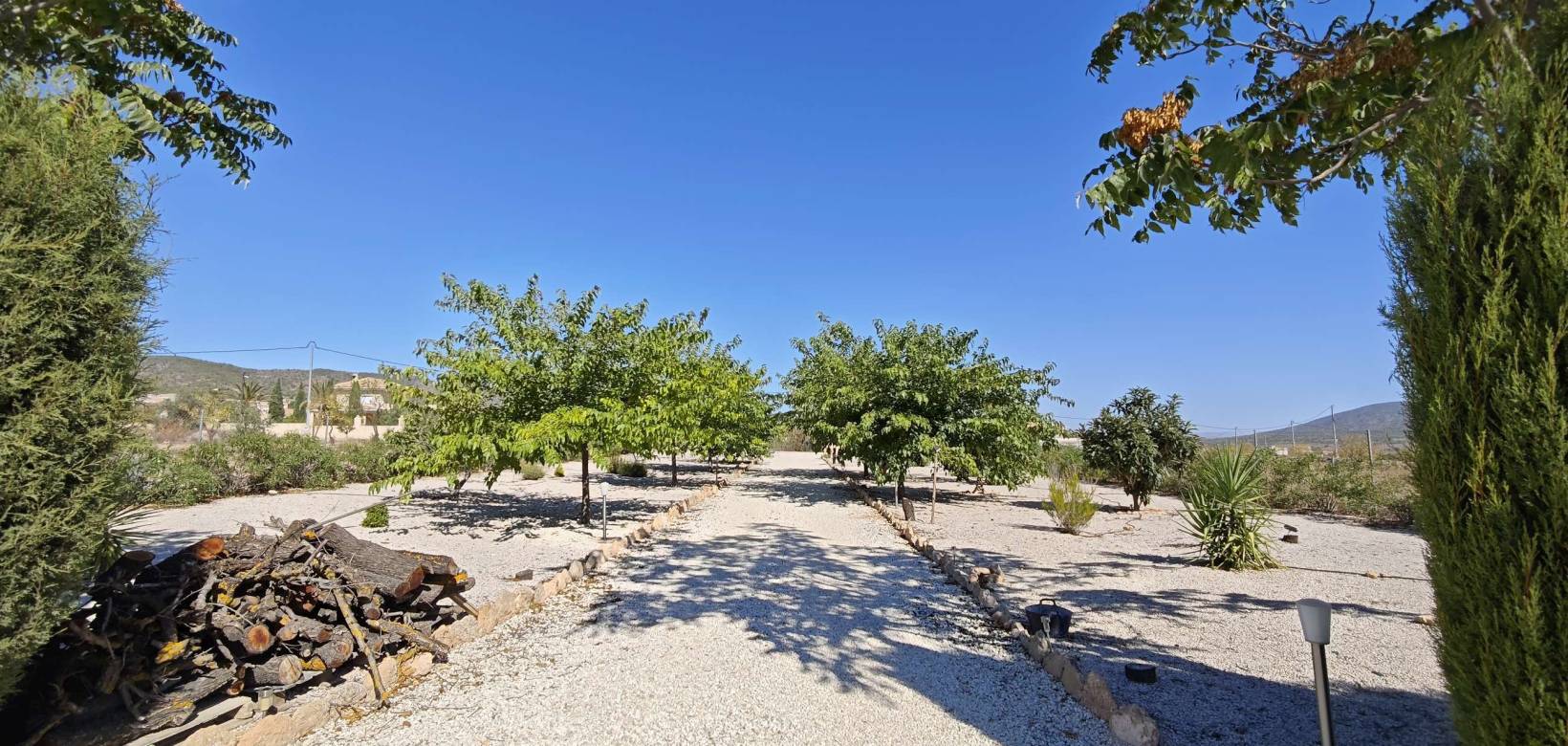 Wederverkoop - Villa - Pinoso - 