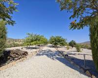 Wederverkoop - Villa - Pinoso - 