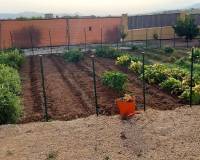 Wederverkoop - Villa - Pinoso - 