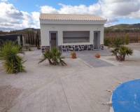 Wederverkoop - Villa - Pinoso - 