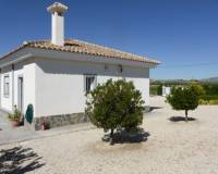 Wederverkoop - Villa - Pinoso - 