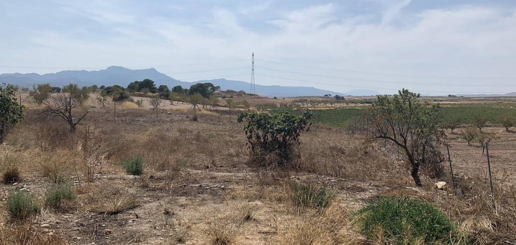 Wederverkoop - Villa - Torre del Rico - 