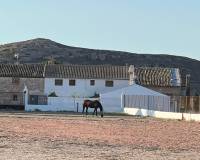 Wederverkoop - Villa - Torre del Rico - 