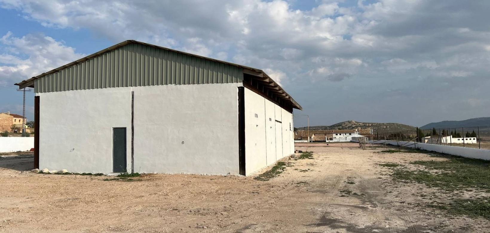 Wederverkoop - Villa - Torre del Rico - 